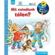 MIT? MIÉRT? HOGYAN? MINI - MIT CSINÁLUNK TÉLEN?