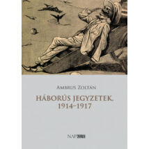 HÁBORÚS JEGYZETEK, 1914-1917