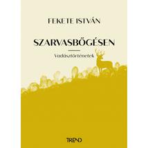 SZARVASBŐGÉSEN - VADÁSZTÖRTÉNETEK