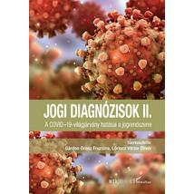 JOGI DIAGNÓZISOK II. - A COVID-19-VILÁGJÁRVÁNY HATÁSAI A JOGRENDSZERRE