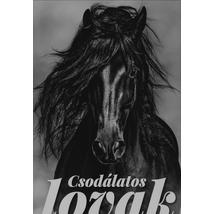 CSODÁLATOS LOVAK