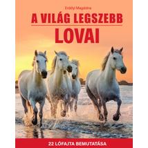 A VILÁG LEGSZEBB LOVAI - 22 LÓFAJTA BEMUTATÁSA