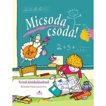 MICSODA CSODA