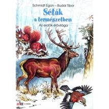 SÉTÁK A TERMÉSZETBEN - AZ ERDŐK ÉLŐVILÁGA