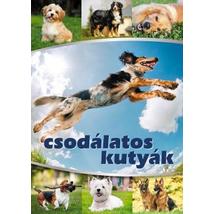 CSODÁLATOS KUTYÁK