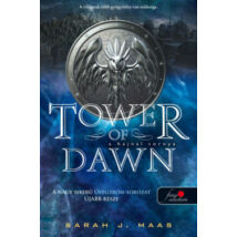 TOWER OF DAWN - A HAJNAL TORNYA - ÜVEGTRÓN 6.