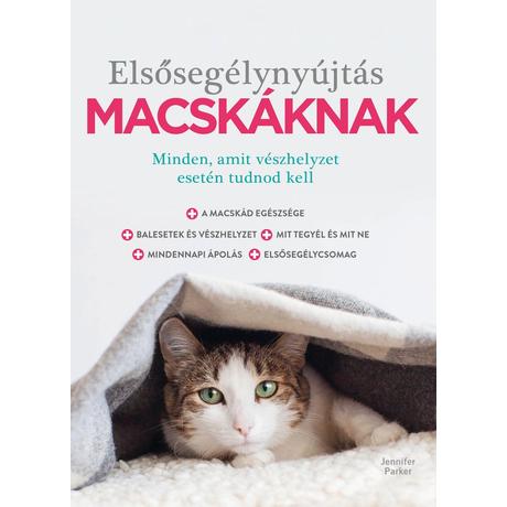 ELSŐSEGÉLYNYÚJTÁS MACSKÁKNAK